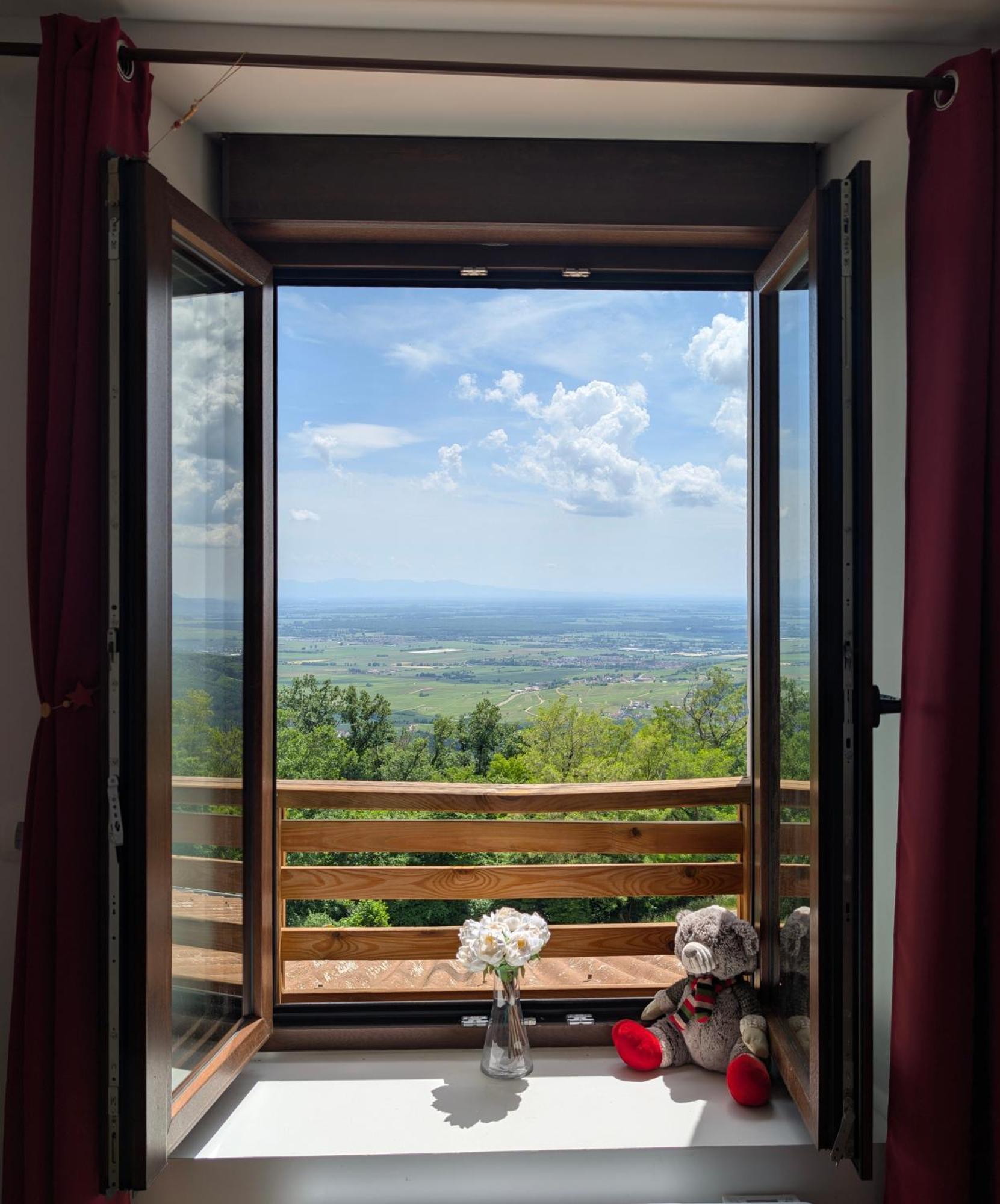 Domaine Du Haut-Koenigsbourg Orschwiller Eksteriør billede