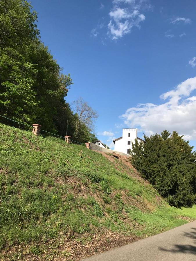 Domaine Du Haut-Koenigsbourg Orschwiller Eksteriør billede